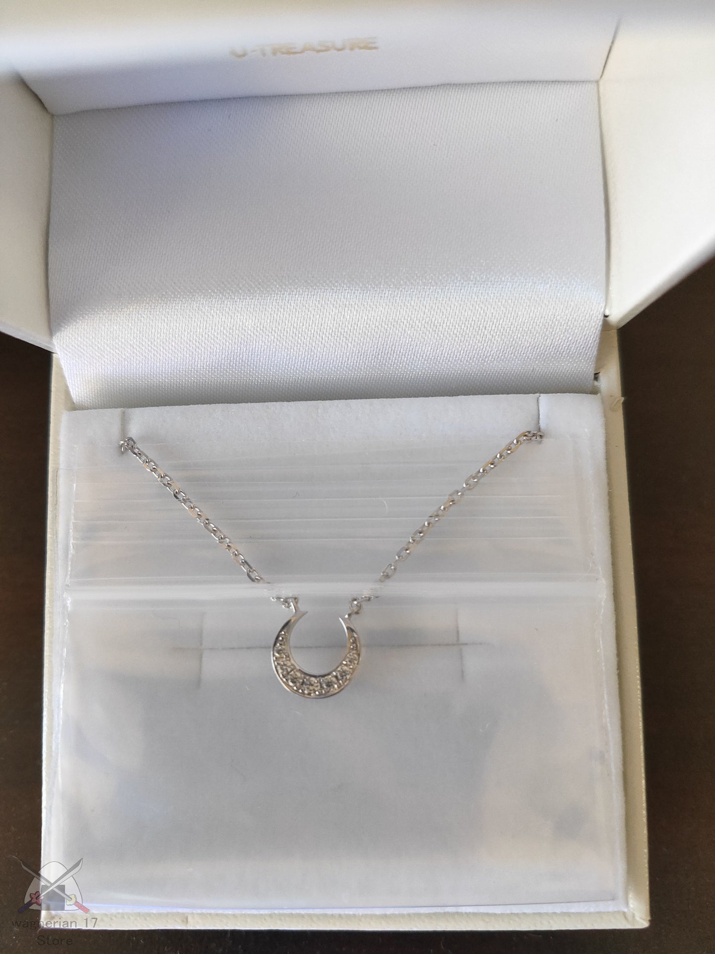 Sailor Moon Moonlight Silver Necklace